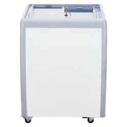 158 L Kommerciel Gelato Dyppefryseskab, Is-udstillingsskab, Hurtig Køling, Energi Effektiv, Digital Temperaturkontrol Best