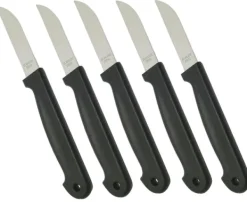 Køkkenknive>5 stk. Frugtknive i rustfrit stål - knive
