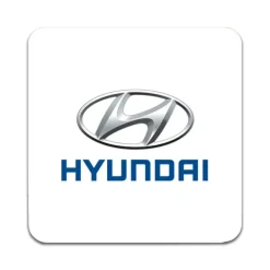 Bordskånere Til Glas>2 STK Hyundai Coastere