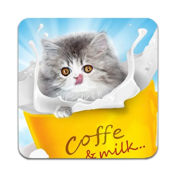 2 STK Persian Kitten Coastere