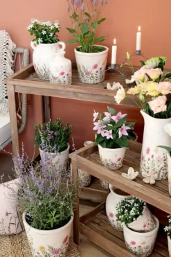 Chic Antique Kaffe- & Tekander><noscript><img width=