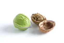 Mad-Knækkere>Brix Nutshucker Nøddeåbner/nøddeknækker