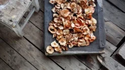 Bærtørrer, MSG-01, MPM