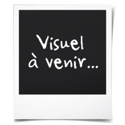 CUISINART ismaskine - ICEFD10E - Kapacitet 3 x 240 ml - 250 W