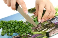 GLAS SKÆREBRÆT 52x40 LANDSKAB Hot