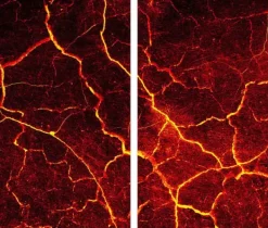 GLAS SKÆREBRÆT 2x 30x52 MØNSTER Online