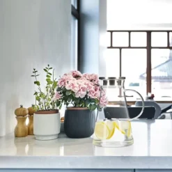 Karafler>Glaskande, 24x14x18 cm, Transparent