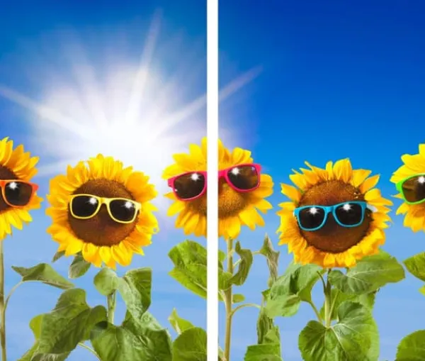 GLASSKÆREBRÆT 2x 30x52 SOLSIKKER Hot