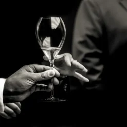 Grand Champagneglas 18cl, 6-pak - Lehmann Discount