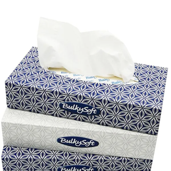 Hvide servietter i en æske, 2 lag, 100 stk. Online