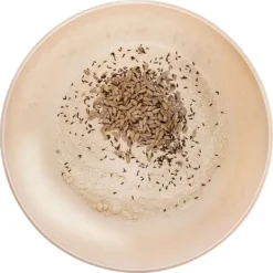 Køkkenskål med låg 27 cm, 5 l Online