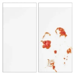 Køkkensprøjtebeskytter, 40x70 cm, Transparent Hot