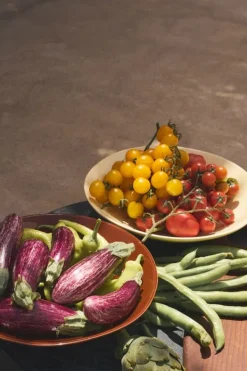 Tallerkener & Bordservicer>Misa Isola Smørgul