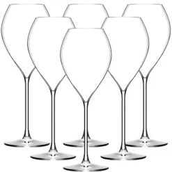 Glas>New Grand Champagne Glass 30cl, 6-pack - Lehmann