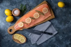 SAMURA Køkkenknive><noscript><img width=