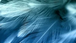 SKÆREBRÆT I GLAS 52X30 BLÅ Sale