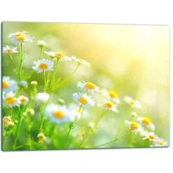 SKÆREBRÆT I GLAS 52x40 BLOMSTER New