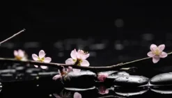 Skeer & Skovle>SKÆREBRÆT I GLAS 52x30 BLOMSTER