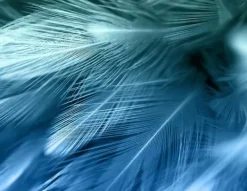 SKÆREBRÆT I GLAS 52x40 FJER