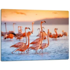 SKÆREBRÆT I GLAS 52x40 FLAMINGO BEACH Online