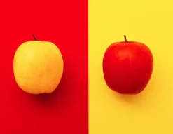 Skærebrætter>SKÆREBRÆT I GLAS 52x40 FRUGT