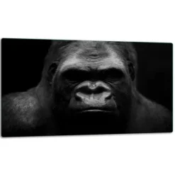 Skeer & Skovle>SKÆREBRÆT I GLAS 52x30 GORILLA