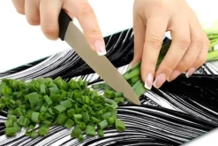 Ismaskine><noscript><img width=