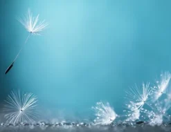 Ismaskine>SKÆREBRÆT I GLAS 52x40 MÆLKEBØTTE