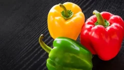 SKÆREBRÆT I GLAS 52x30 PEBERFRUGTER Outlet