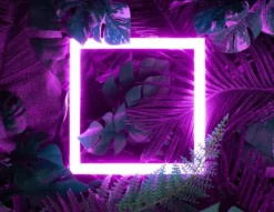 SKÆREBRÆT I GLAS 52X40 STK. Hot