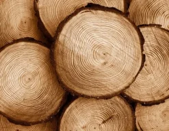 SKÆREBRÆT I GLAS 52x40 TRÆ Clearance