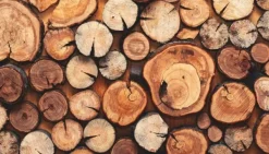 SKÆREBRÆT I GLAS 52x30 TRÆ Outlet