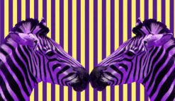 Tallerkener & Bordservicer>SKÆREBRÆT I GLAS 52x30 ZEBRA