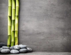 SKÆREBRÆT TIL GLAS 52x40 BAMBUS Hot