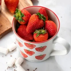 Strawberry mug 40cl - Modern House Discount