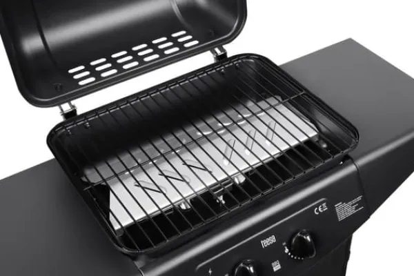Teesa BBQ 2000 Gasgrill - 2 brændere Hot