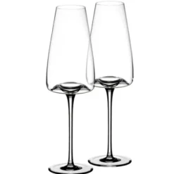 Vision Champagne glass Rich, 2-pack - Zieher Clearance
