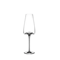 Vision Champagne glass Rich, 2-pack - Zieher Clearance